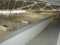 Live Animal Marketplace And Meat Market