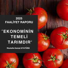 2025 faaliyet raporu